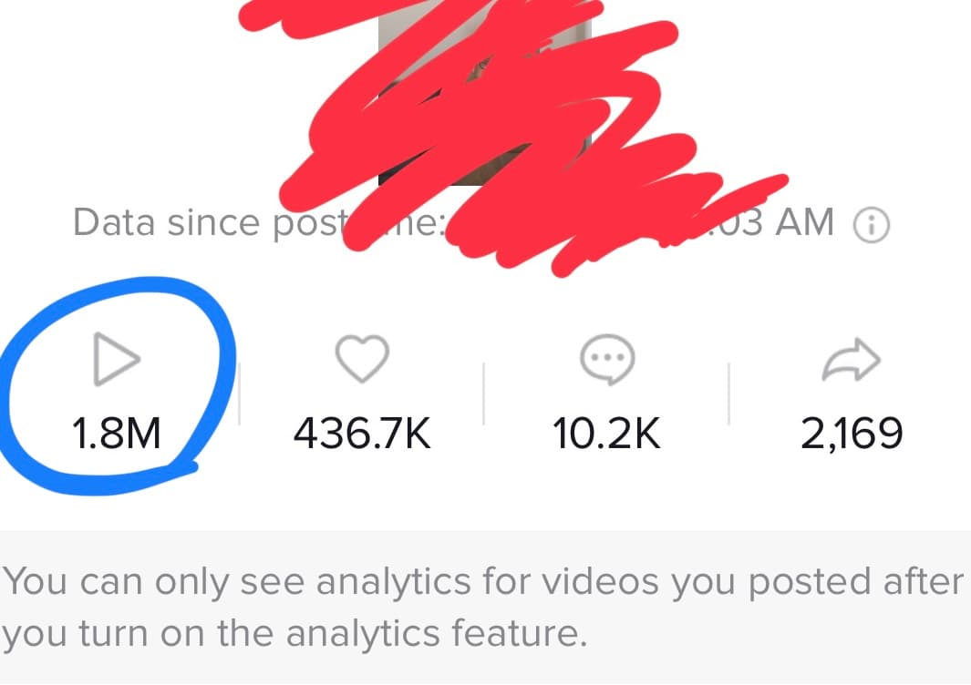 Screenshot of client TikTok results showing 1.8M views on first video.